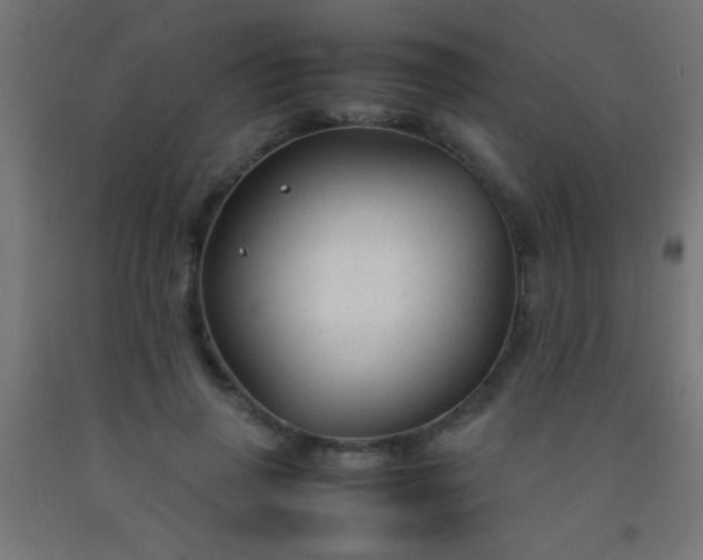 X0000092280645200709281246