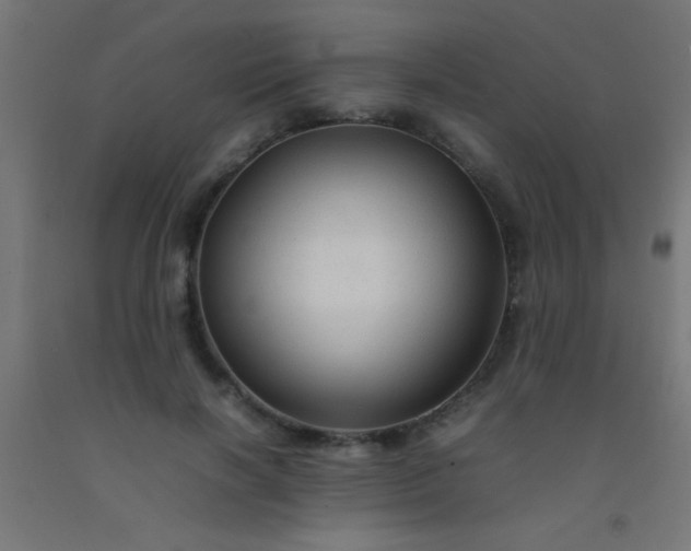 X0000092280646200709281246