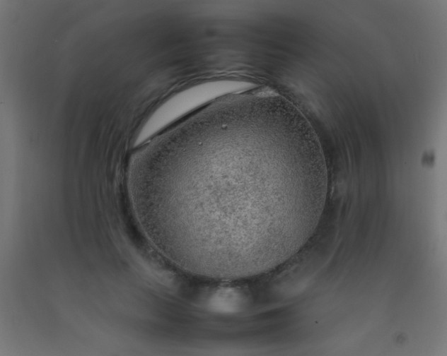 X0000092280647200709281246