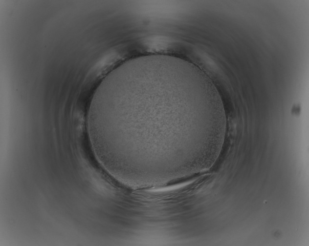 X0000092280648200709281246