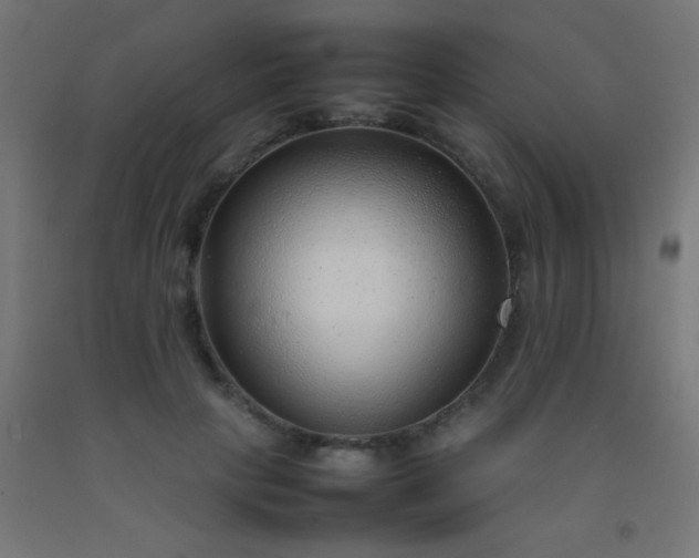 X0000092280649200709281246