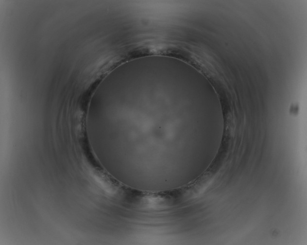 X0000092280650200709281246