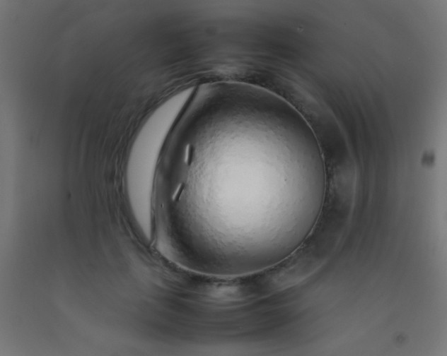 X0000092280651200709281246