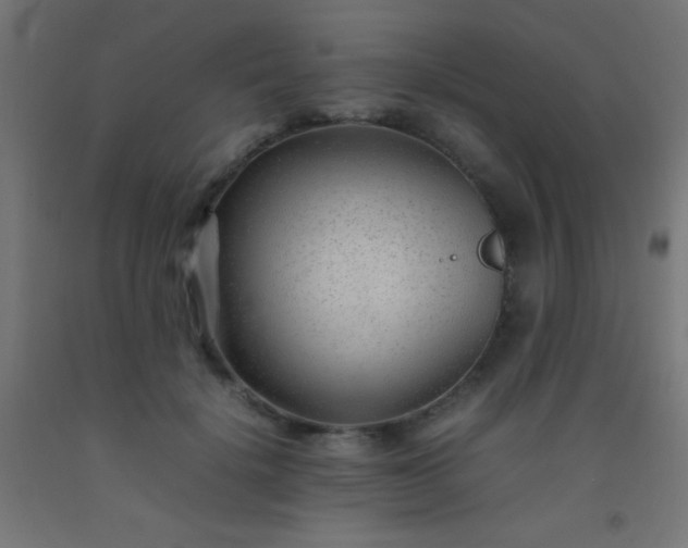 X0000092280652200709281246