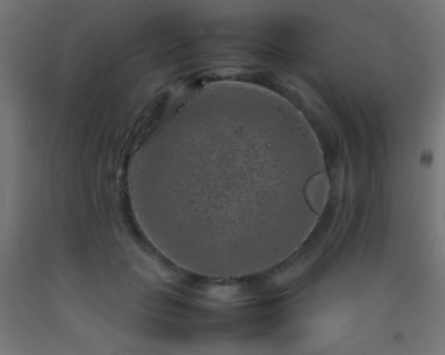 X0000092280653200709281246