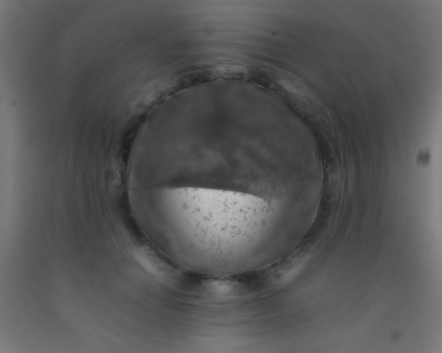 X0000092280654200709281246