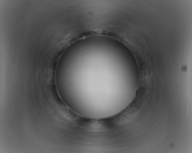 X0000092280656200709281246