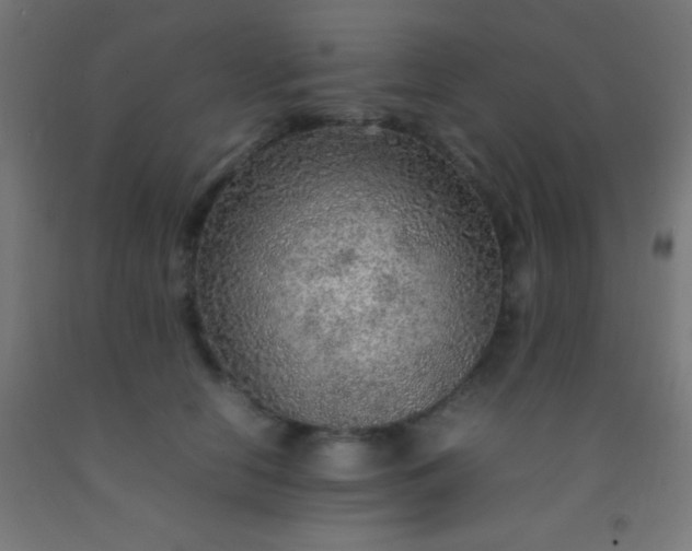 X0000092280658200709281246