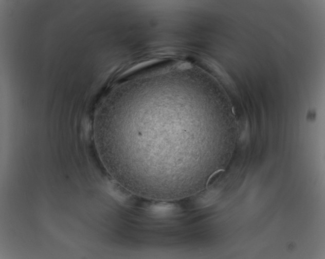 X0000092280669200709281247