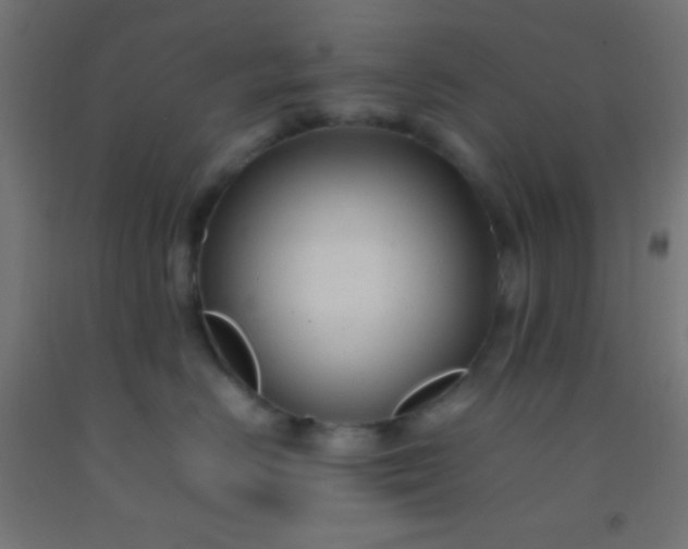 X0000092280670200709281247