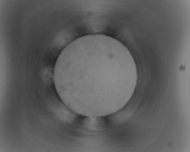 X0000092280672200709281247