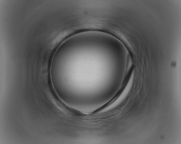 X0000092280677200709281246