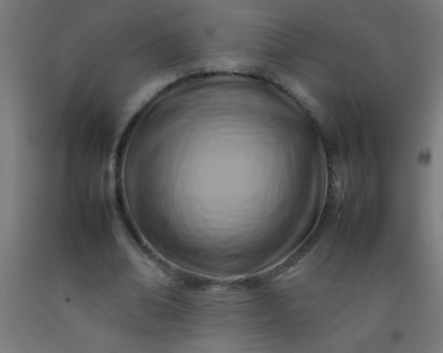 X0000092280678200709281246