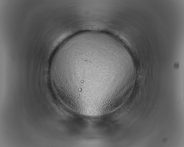 X0000092280679200709281246