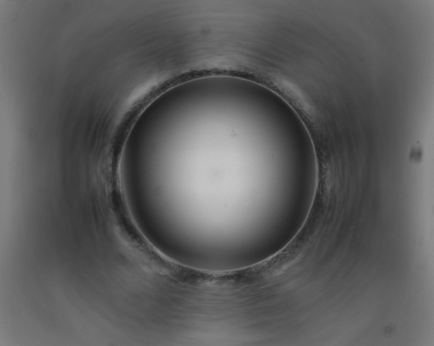 X0000092280680200709281246