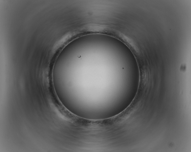 X0000092280682200709281246