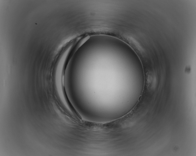 X0000092280684200709281246