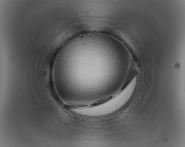 X0000092280685200709281246