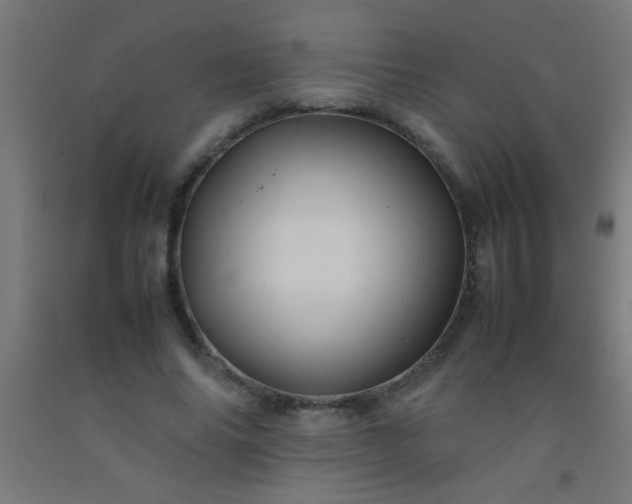 X0000092280686200709281246