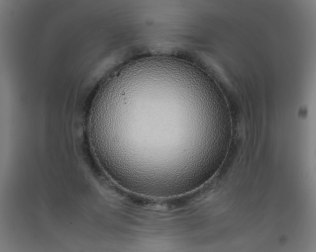 X0000092280687200709281246