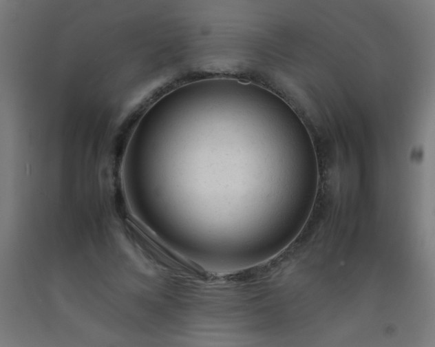 X0000092280688200709281246