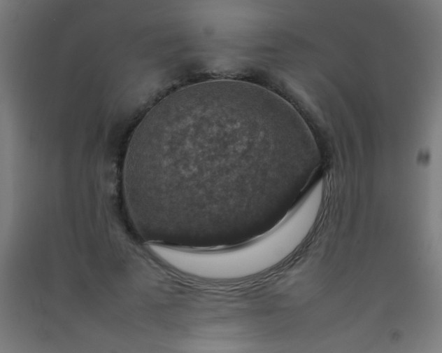 X0000092280689200709281246