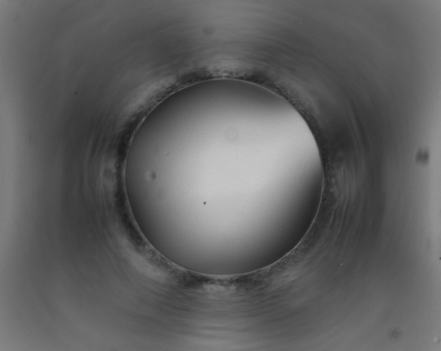 X0000092280690200709281246