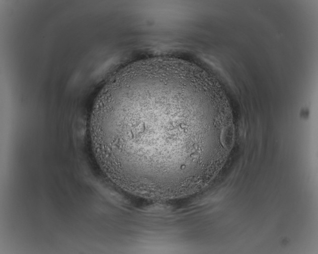 X0000092280691200709281246