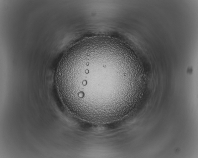 X0000092280695200709281246