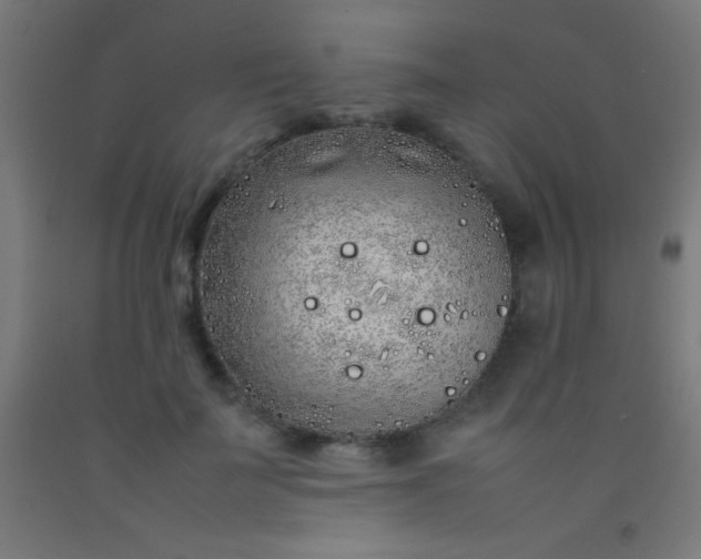 X0000092280699200709281246