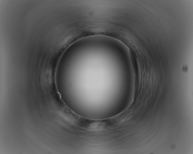 X0000092280700200709281246