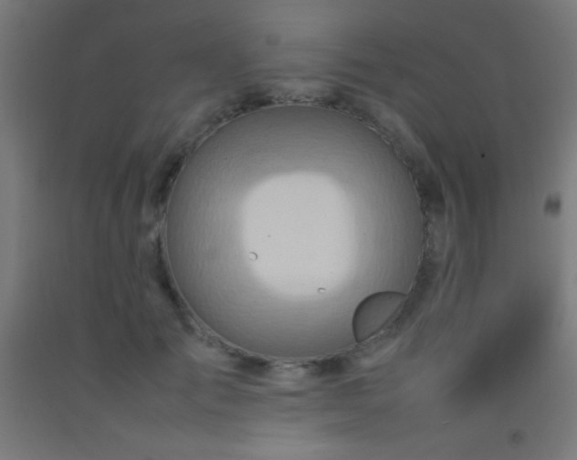 X0000092280701200709281246