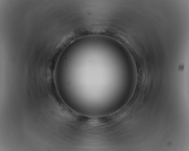 X0000092280704200709281246