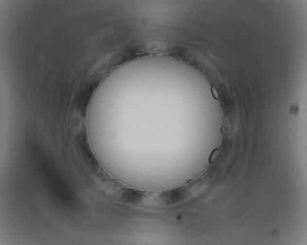 X0000092280705200709281246