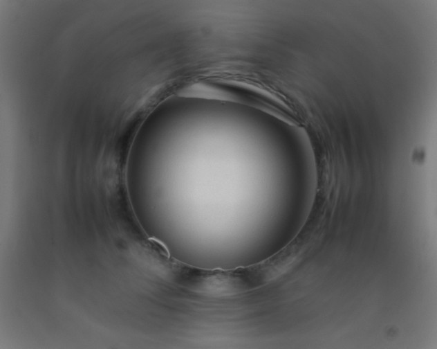 X0000092280708200709281246