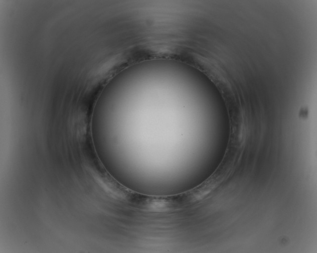 X0000092280710200709281246