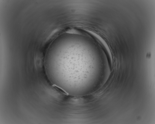 X0000092280712200709281245