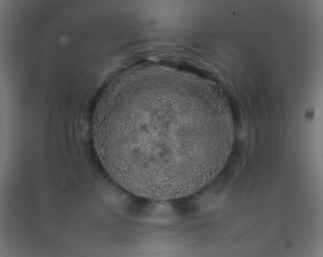 X0000092280715200709281245