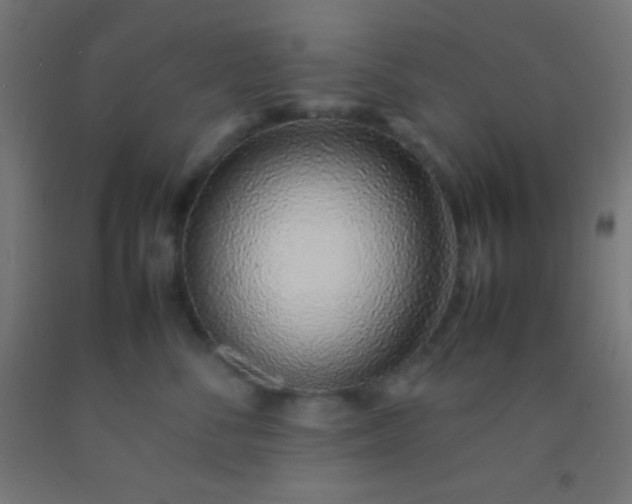 X0000092280716200709281245