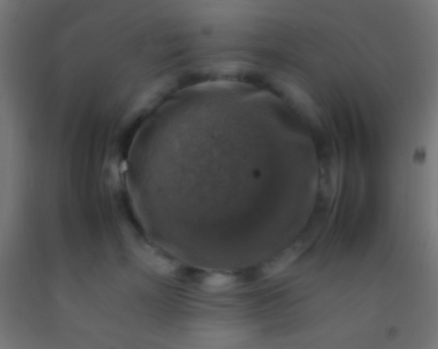 X0000092280718200709281245