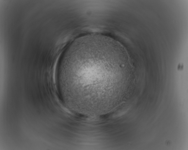 X0000092280720200709281245