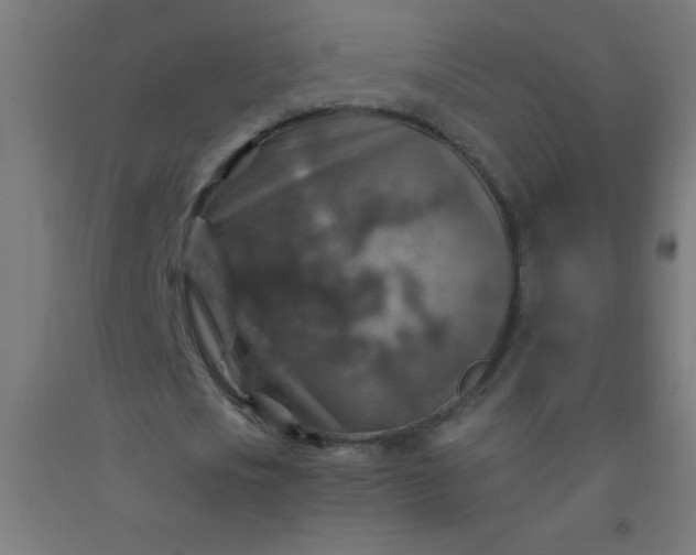 X0000092280721200709281245