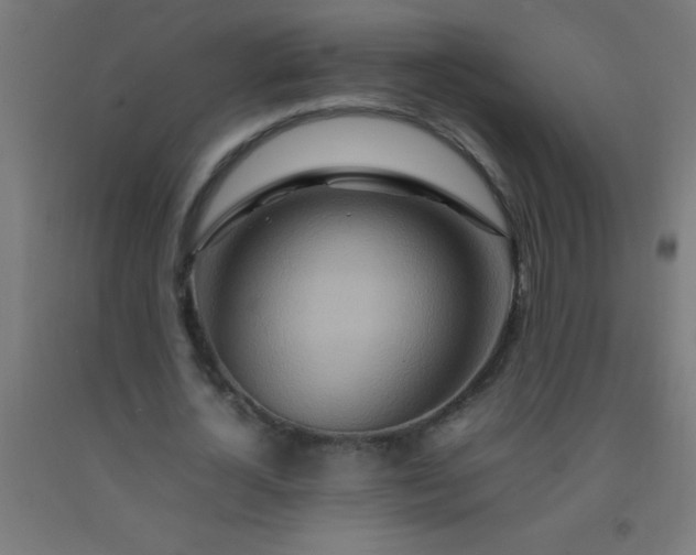 X0000092280724200709281245