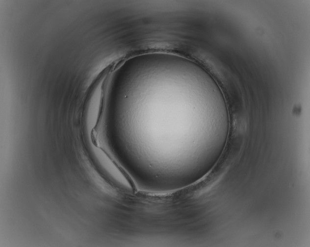 X0000092280725200709281245