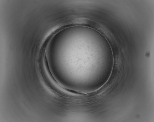 X0000092280726200709281245