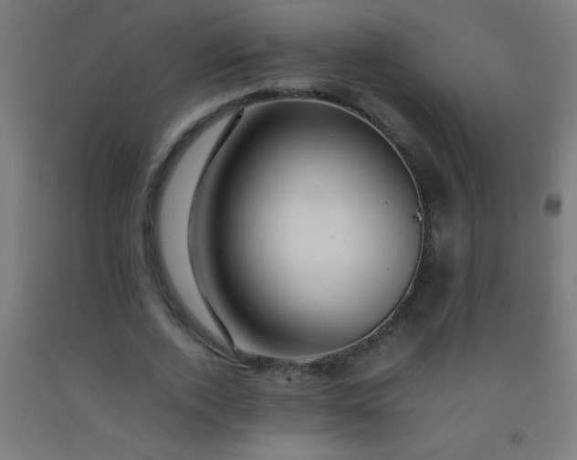 X0000092280728200709281245