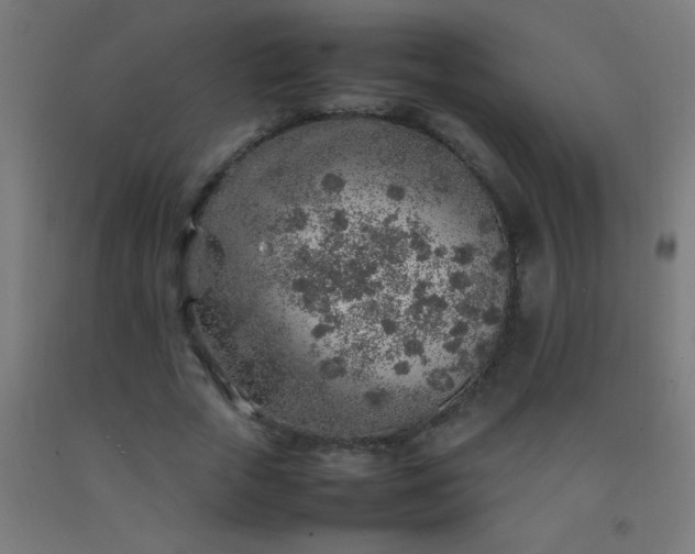 X0000092280729200709281245