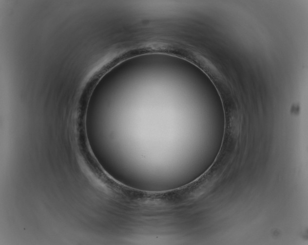 X0000092280730200709281245