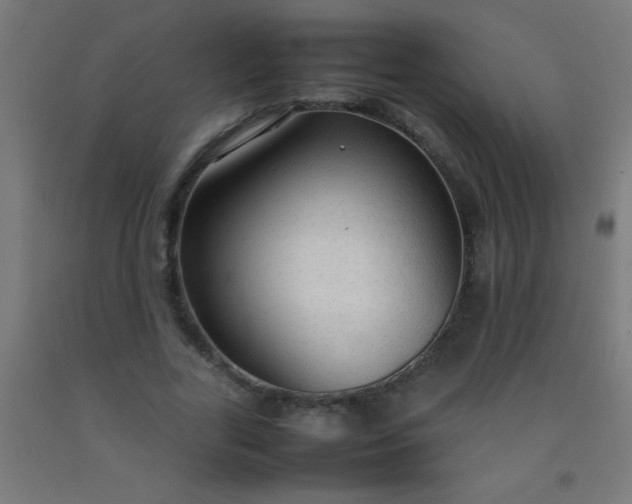 X0000092280731200709281245