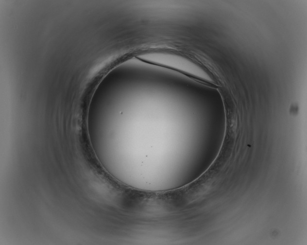 X0000092280732200709281245